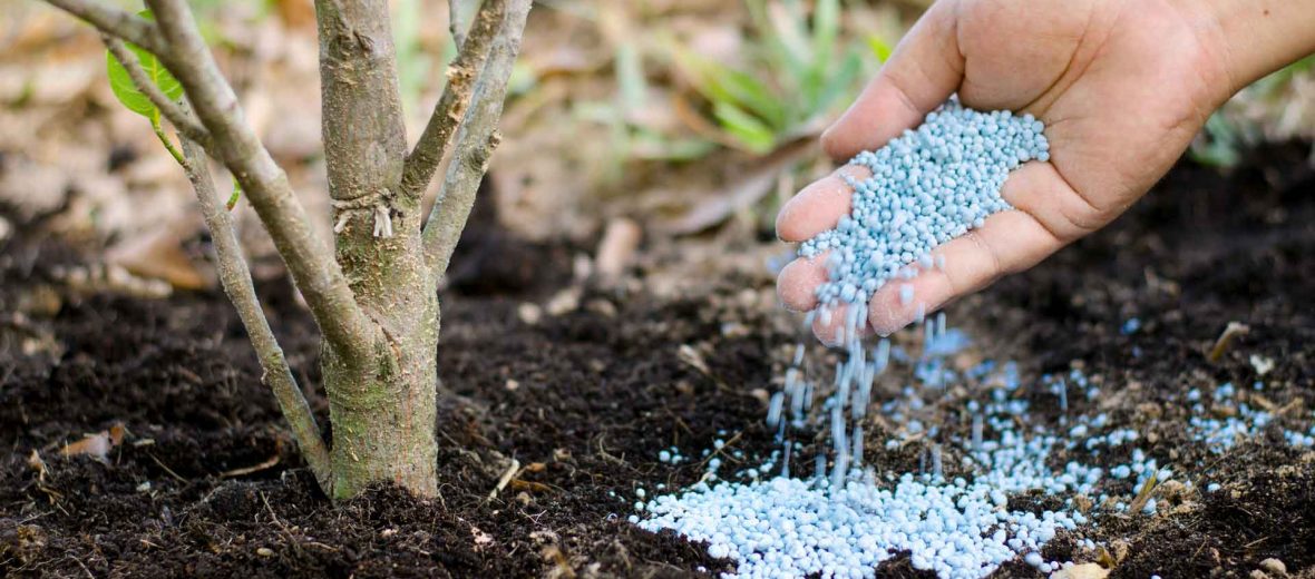 Тыңайтқыштан тарықпаймыз ба?