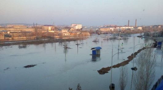 Көкшеге көктем келді қаупін ертіп