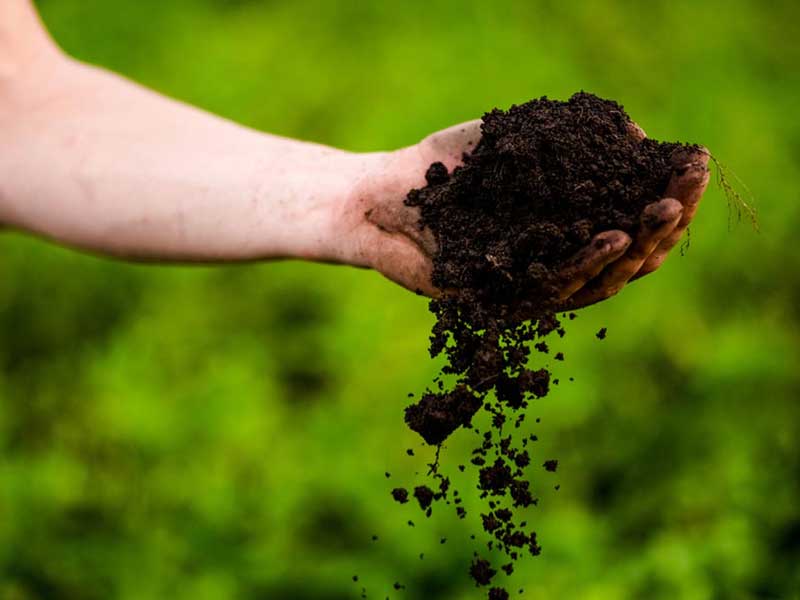 Топырақтың иісі