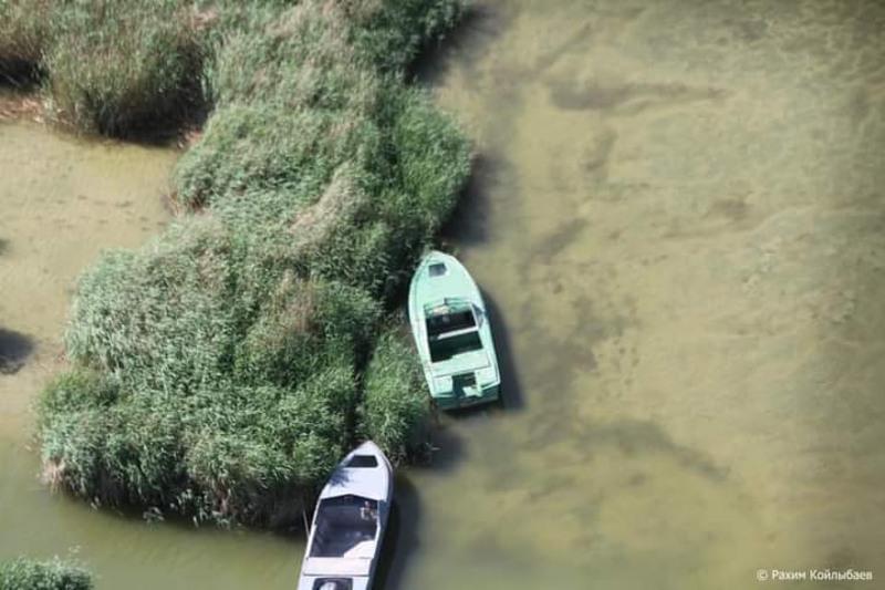 «Бекіреге» бағынбайтын браконьерлер