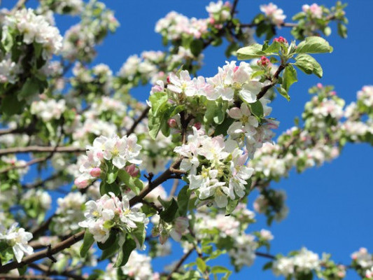 Демалыс күндеріне арналған ауа райы болжамы