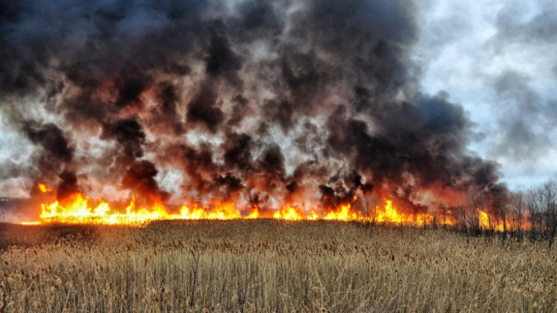 Өрт қаупі сейілмей тұр