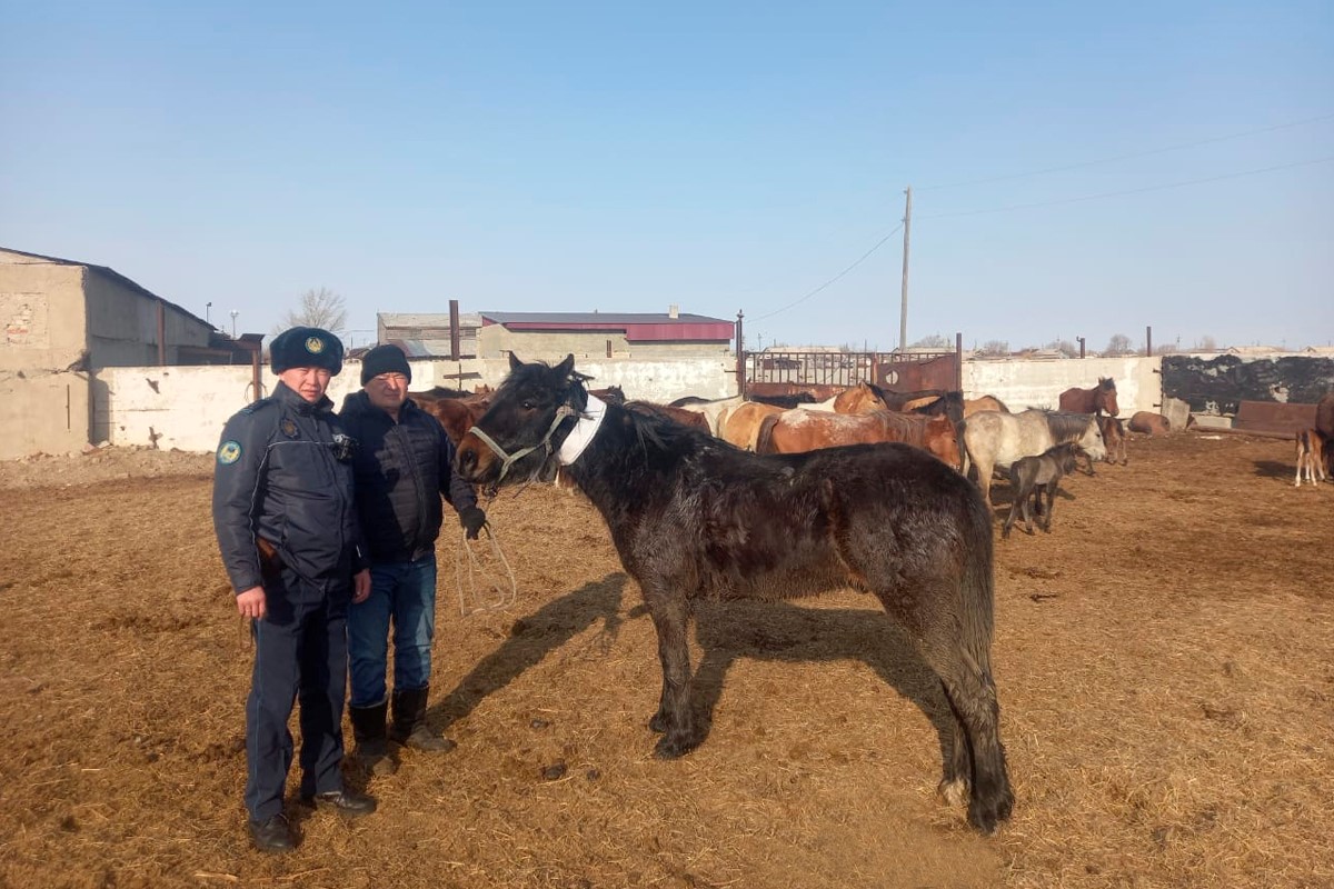 GPS-трекерлердің көмегі көп