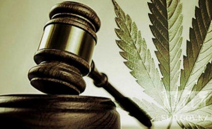 ШҚО тұрғынынан марихуана тәркіленді