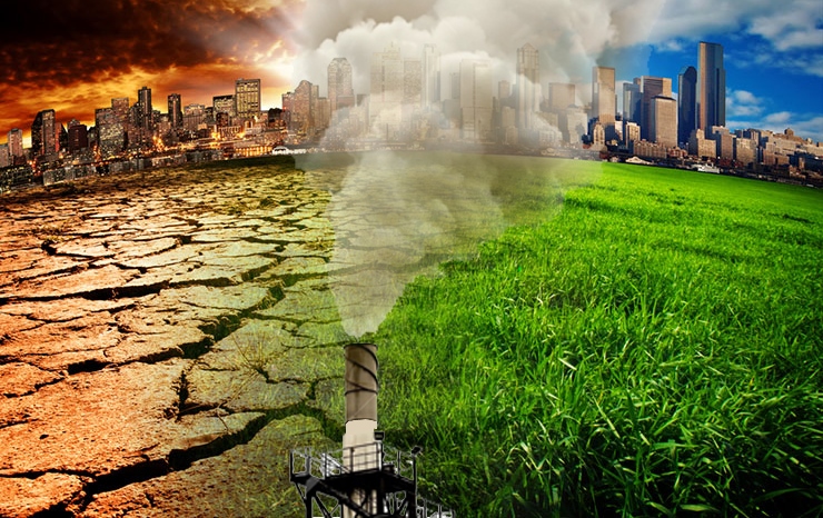 Орнитолог ғалымдар бас қосты