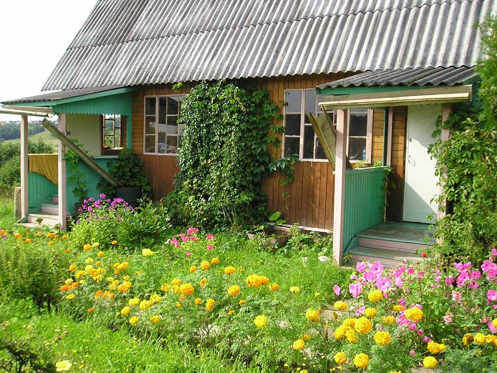 Саяжайы бардың сыбағасы мол