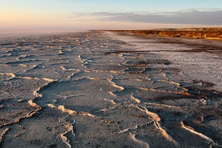 Озық тәжірибе мен технологиялар қажет