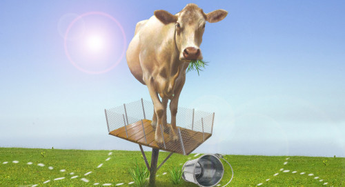 Жайылым мәселесі қалай шешіледі?