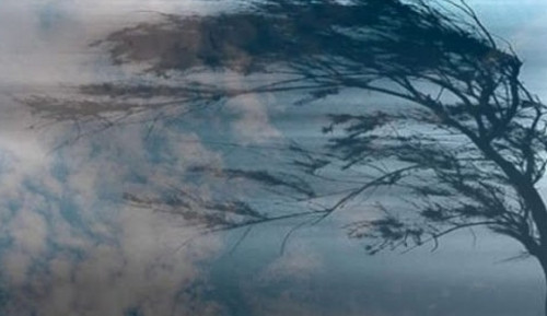 Кентауда қатты жел тұрғын үйлердің шатырын ұшырып әкетті