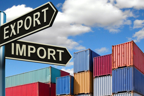 Импортты алмастырудың жаңа бағдарламасы ел экономикасына не береді?