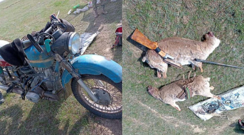 Ақтөбеде заңсыз киік атқан екі браконьер ұсталды