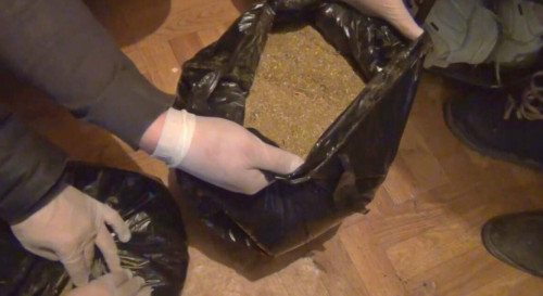 Семейлік тұрғыннан 5 келіден астам марихуана тәркіленді