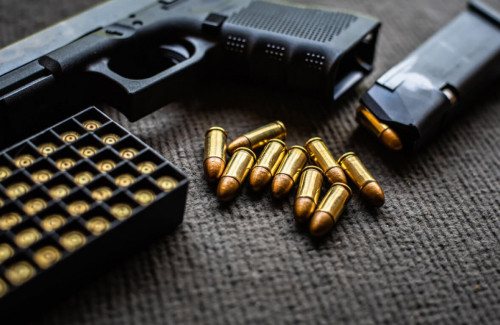 Жамбыл облысында қаруды заңсыз сатпақ болған тұрғын ұсталды