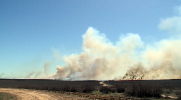 ШҚО-да дала оты өршіп тұр