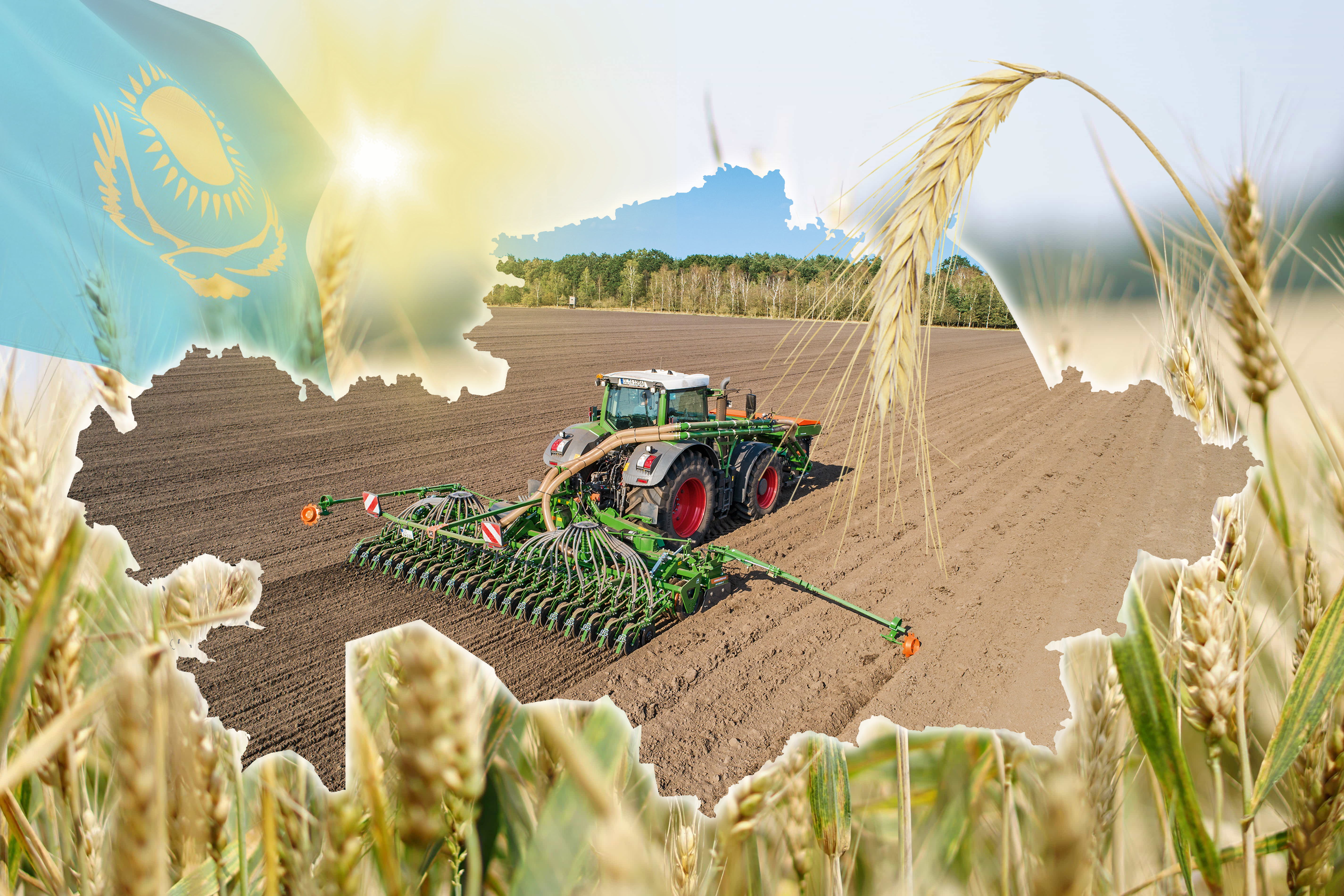 Өтімді дақылдар көбірек егіледі