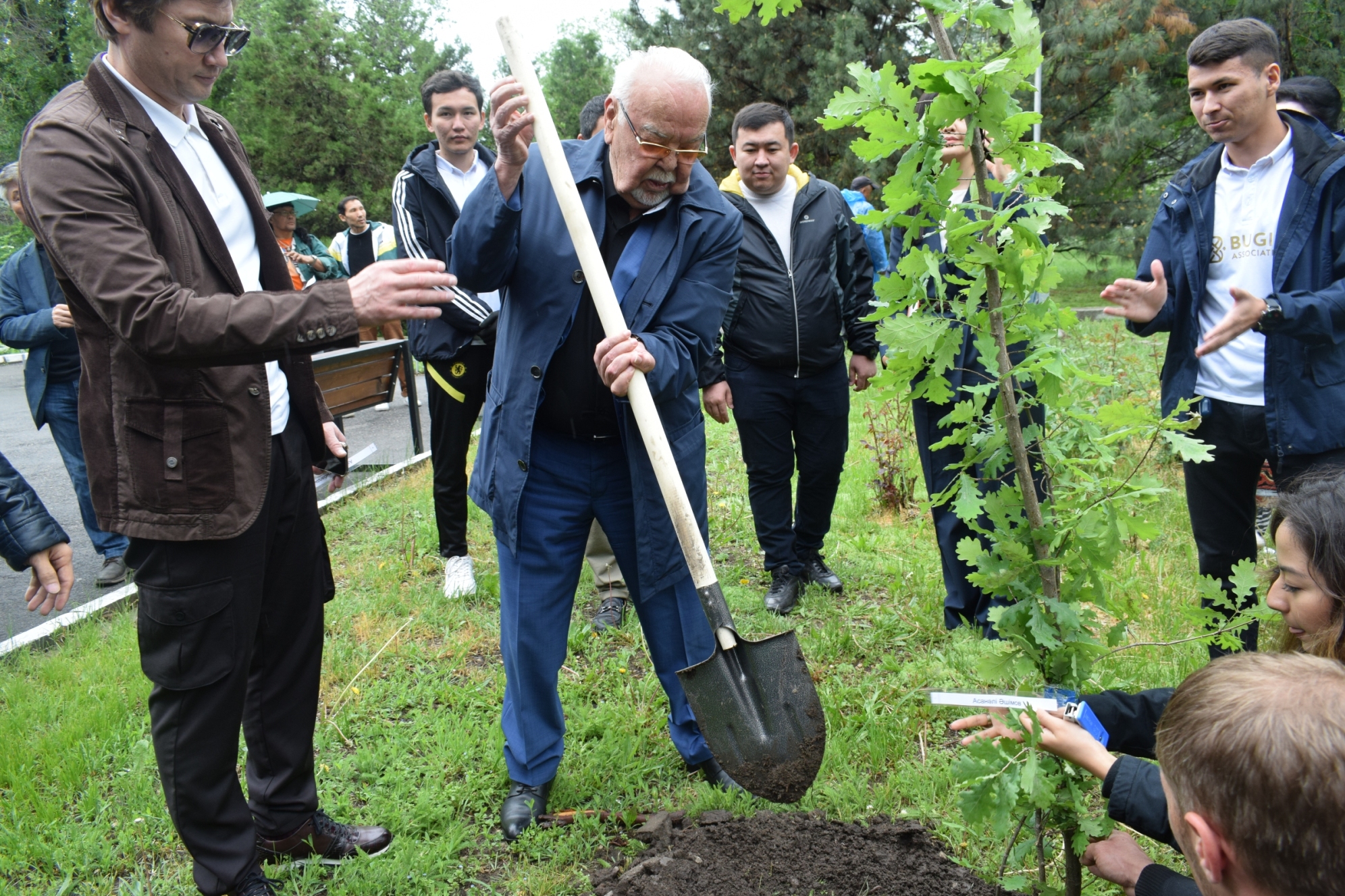 Киногерлер ағаш отырғызды
