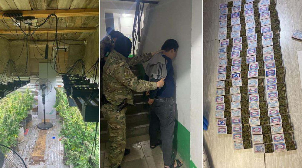 Ақмола облысында жасырын есірткі зертханасы жойылды