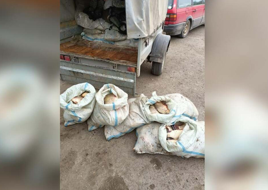 Павлодар облысында заңсыз балық аулағандар ұсталды