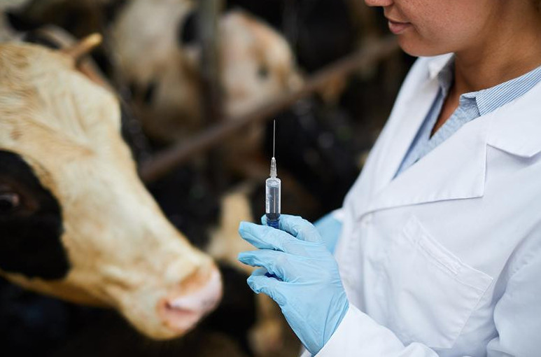 Ветеринарлық қызмет көрсету сапасын арттыру қажет - министр