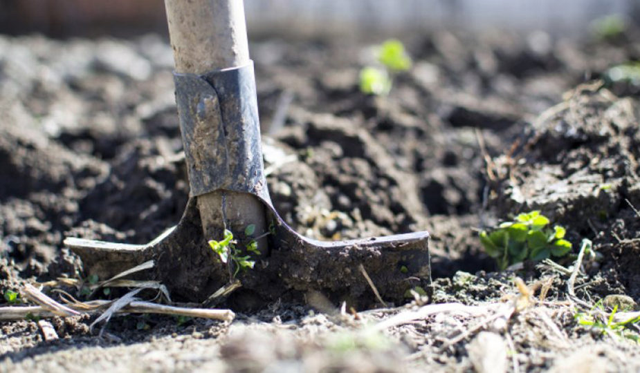 Күрек пен жүректің орны...