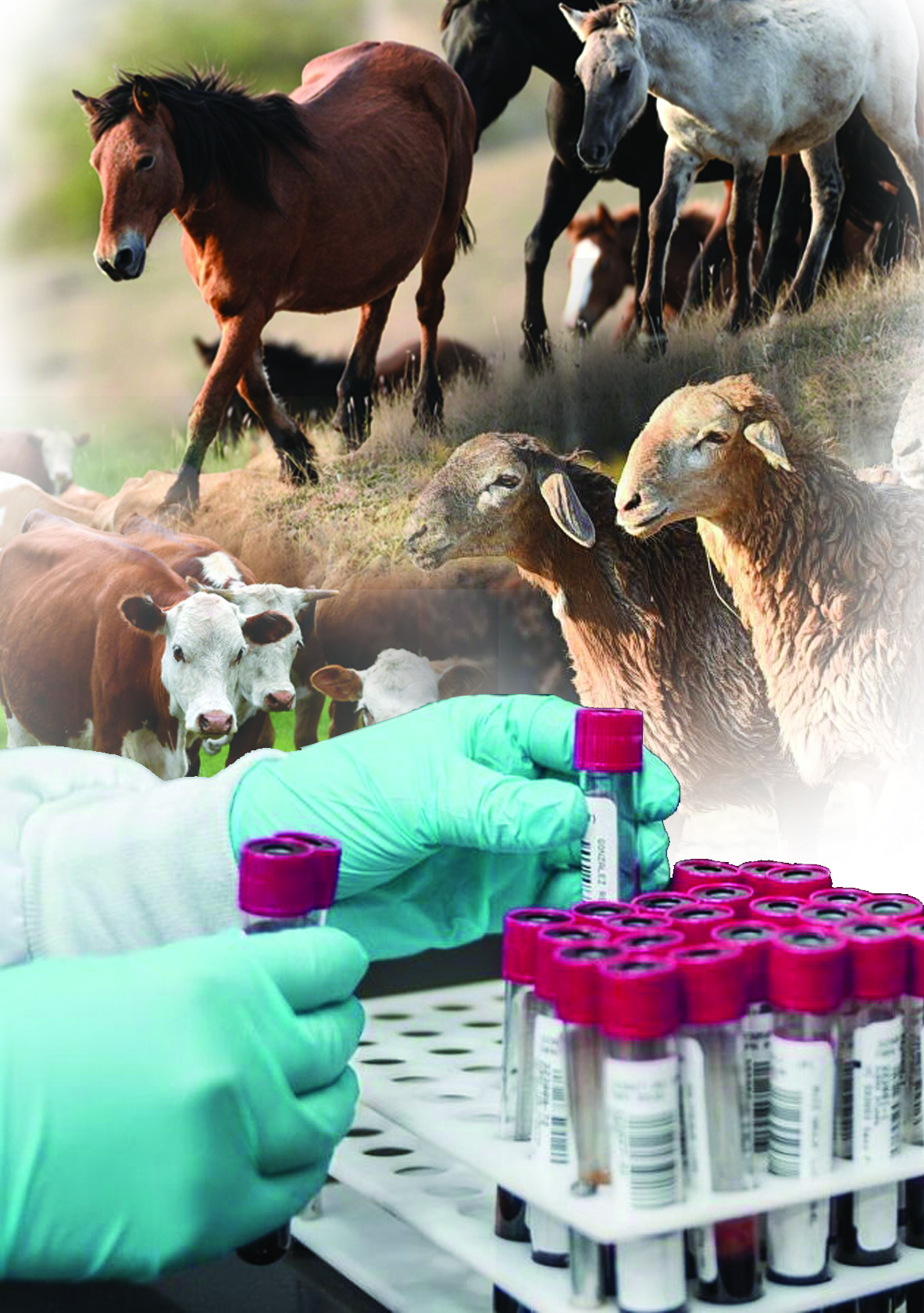 Жүген ұстап қалмасақ жарар еді...