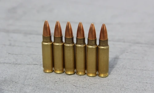 Павлодар облысының тұрғыны полицияға 138 патрон тапсырды