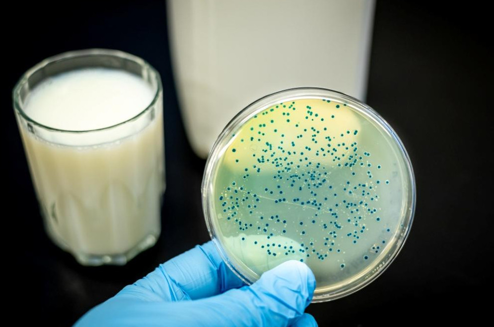 Қарағанды облысында 5 адам бруцеллез жұқтырды