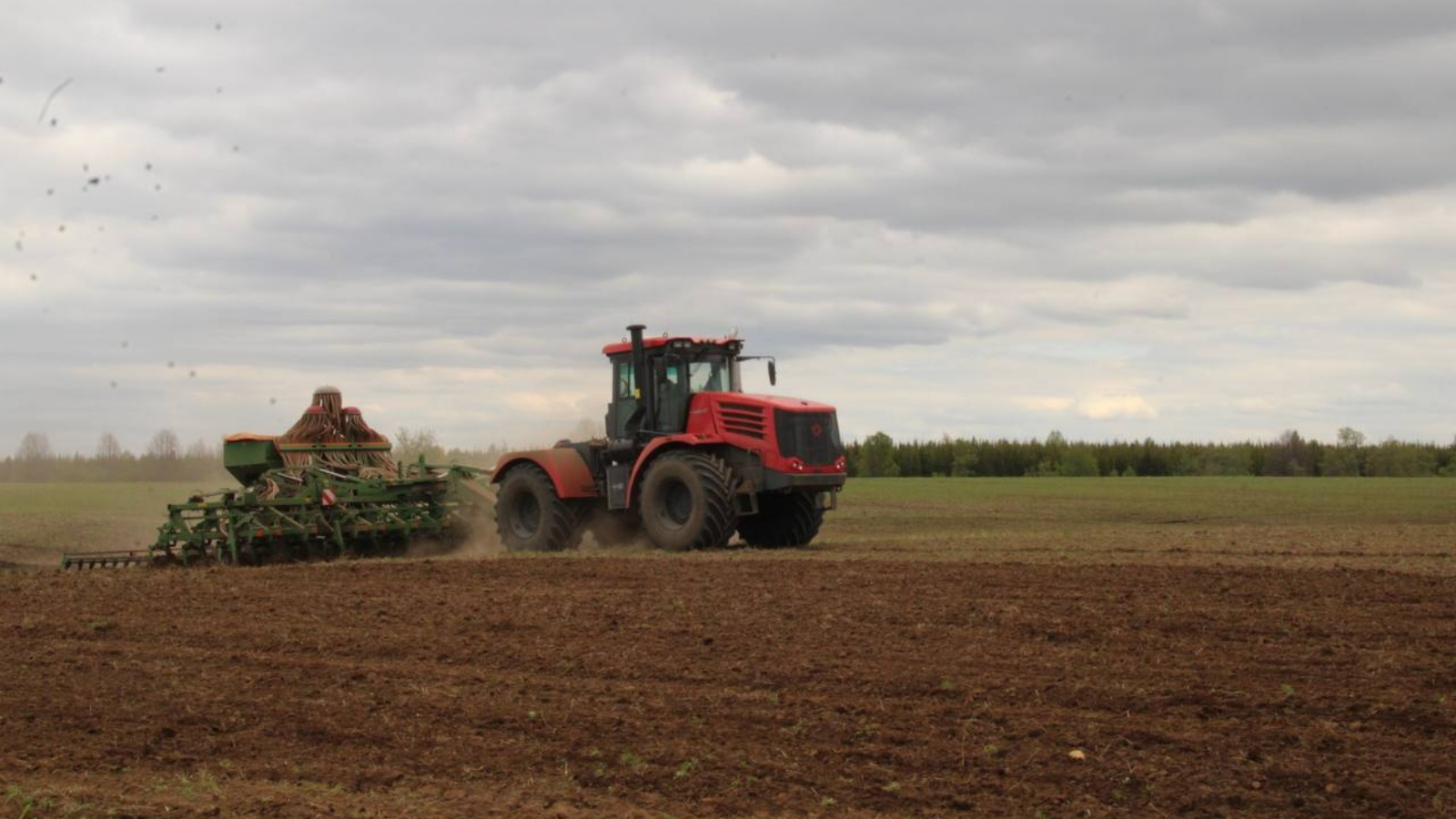 Диқандардың техникасы сақадай сай