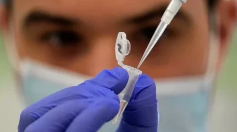 Бельгияда маймыл шешегінің 6 дерегі тіркелді