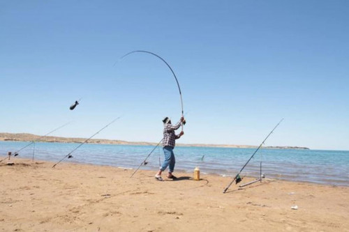 Шардарада балық аулаудан республикалық жарыс өтті