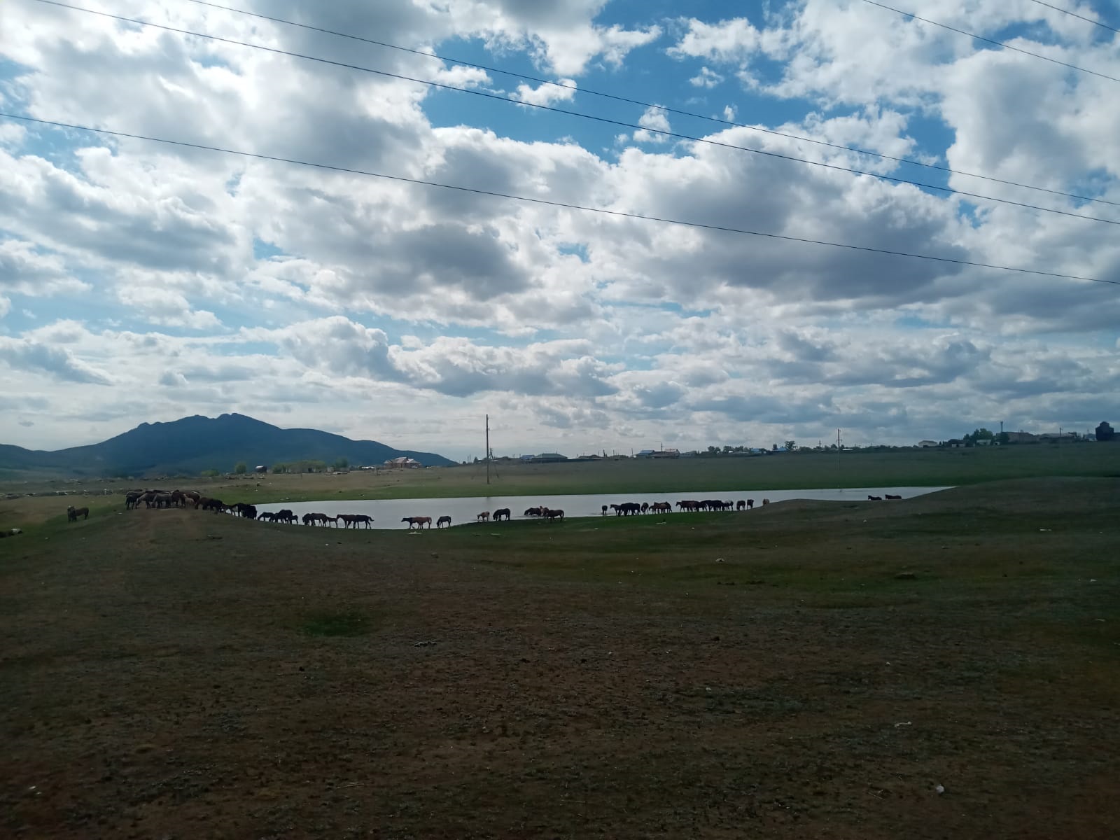 Жайылымға таласып, жылқы атып...