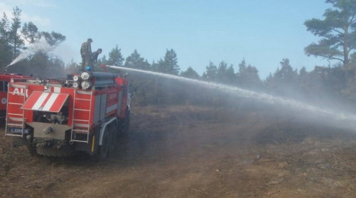 Баянауыл ұлттық паркі өртеніп жатыр