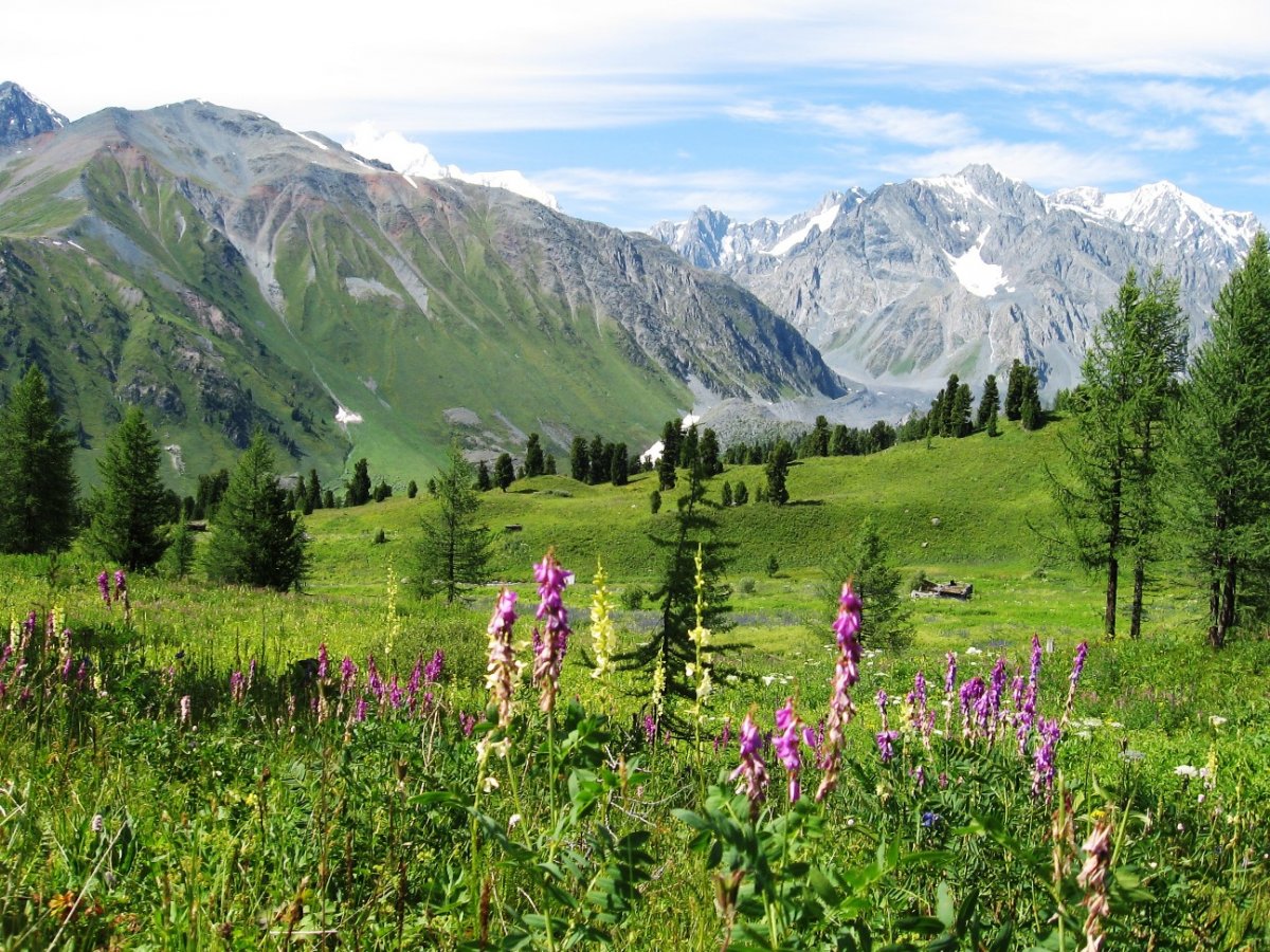 Жаңа табиғи аумақтар құрылады