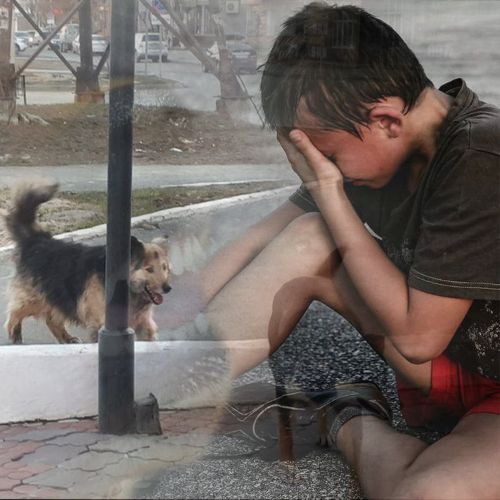 Он екі жастағы баланы ит талап, жазым етті