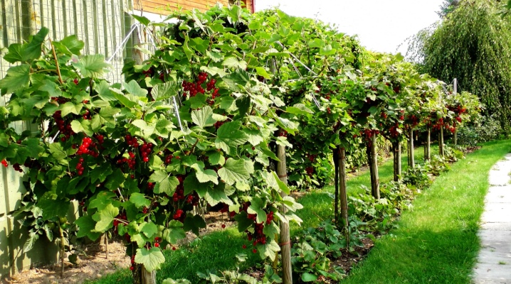 Таптай берсең, түк қалмайды...