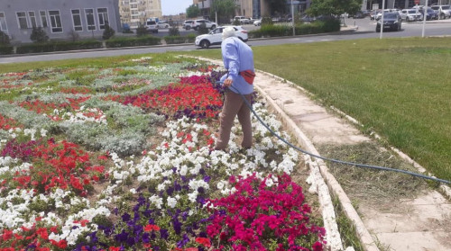 Ақтауда көгалдандыру жұмыстары қалай жүргізіледі