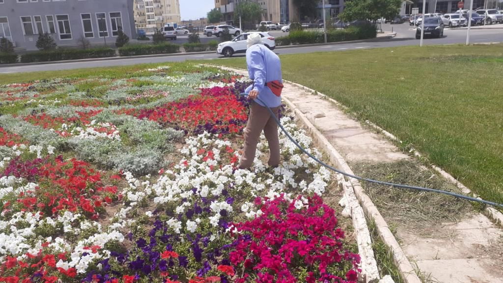 Ақтауды көгалдандыру жаңа жоба аясында жүргізіледі