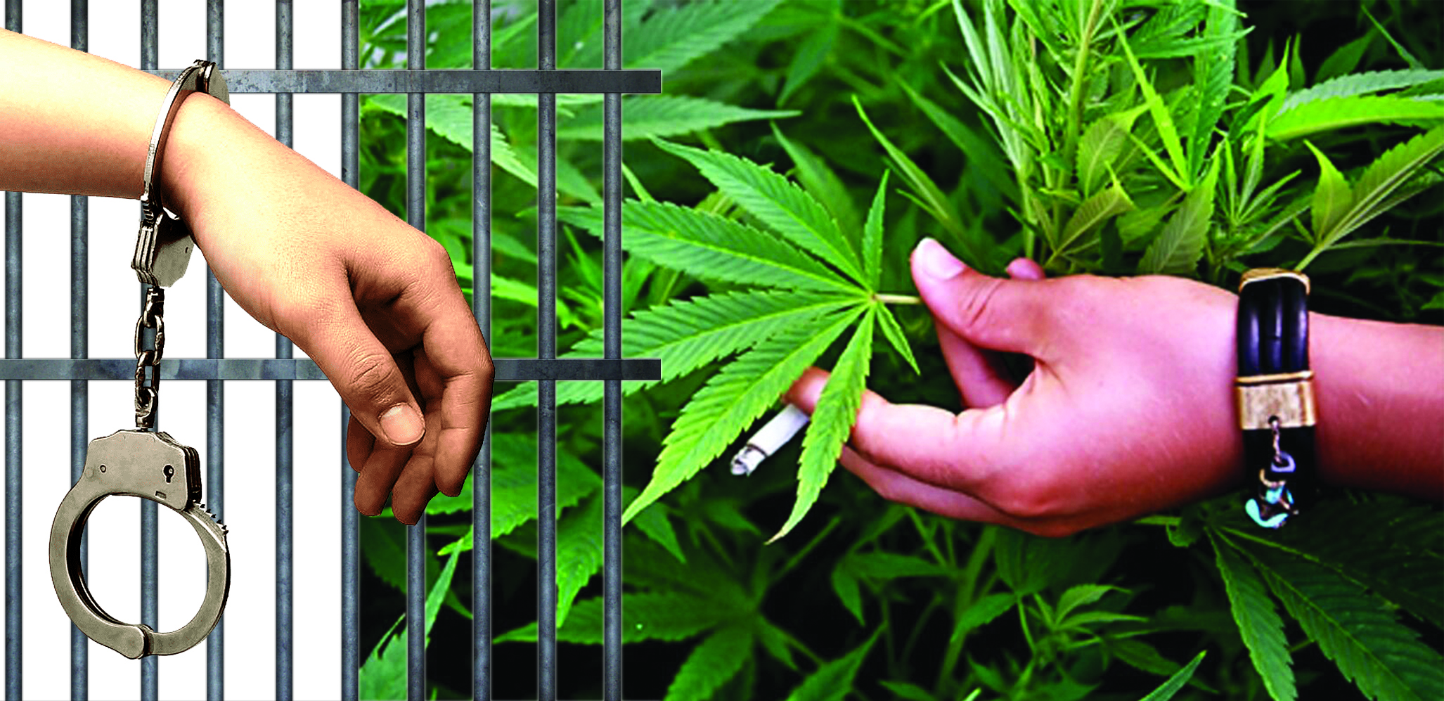 «Қарасора» кезінде анықталған қылмыстар