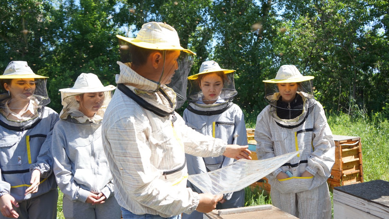 Студенттер ара бағып жүр
