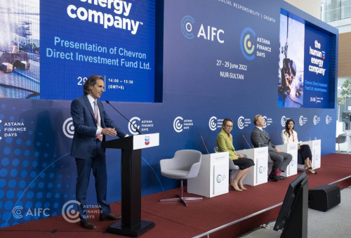 Ел экономикасына үлес қосатын инвестор көбейді