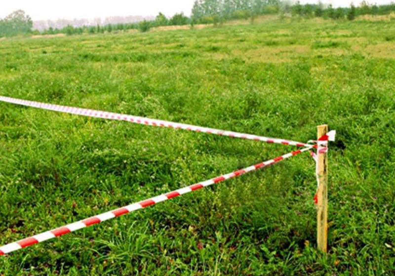 20 мың гектар жайылым мемлекетке қайтарылды