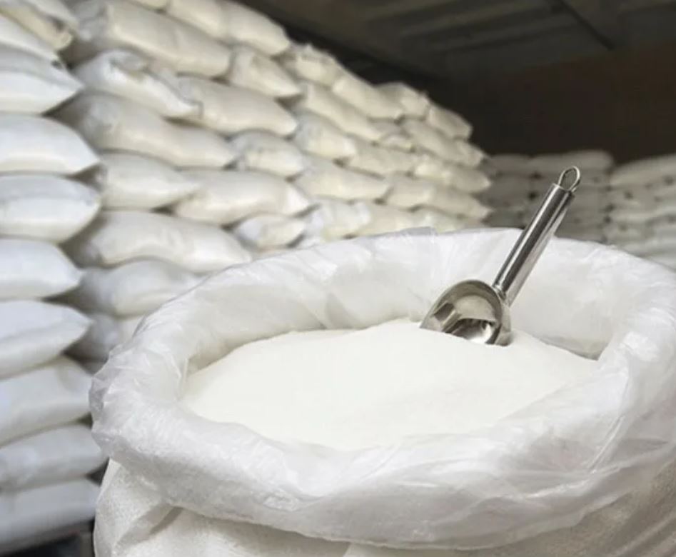 Ақсуда қант қамысы өңделеді