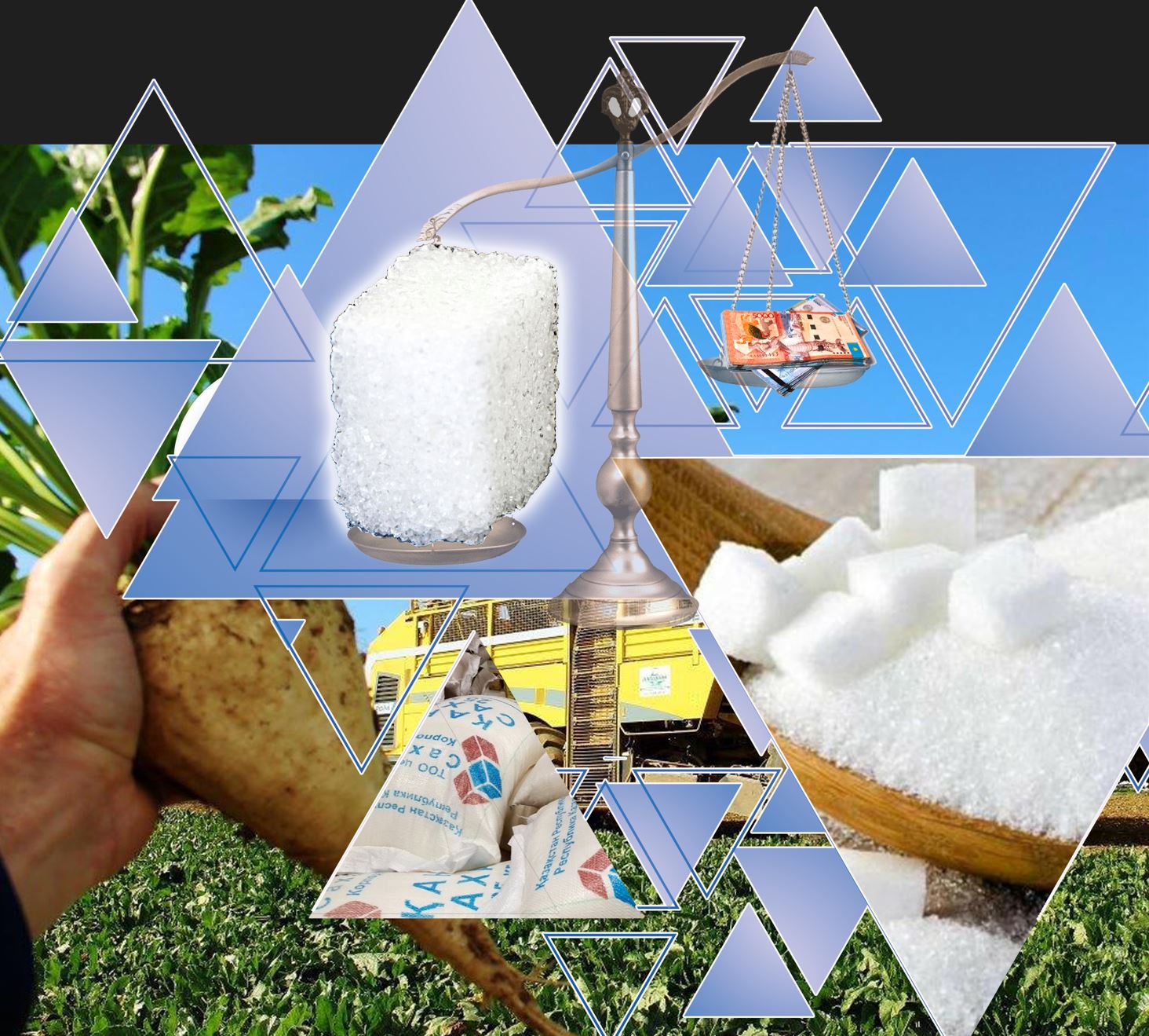 Қант нарығына реформа қажет