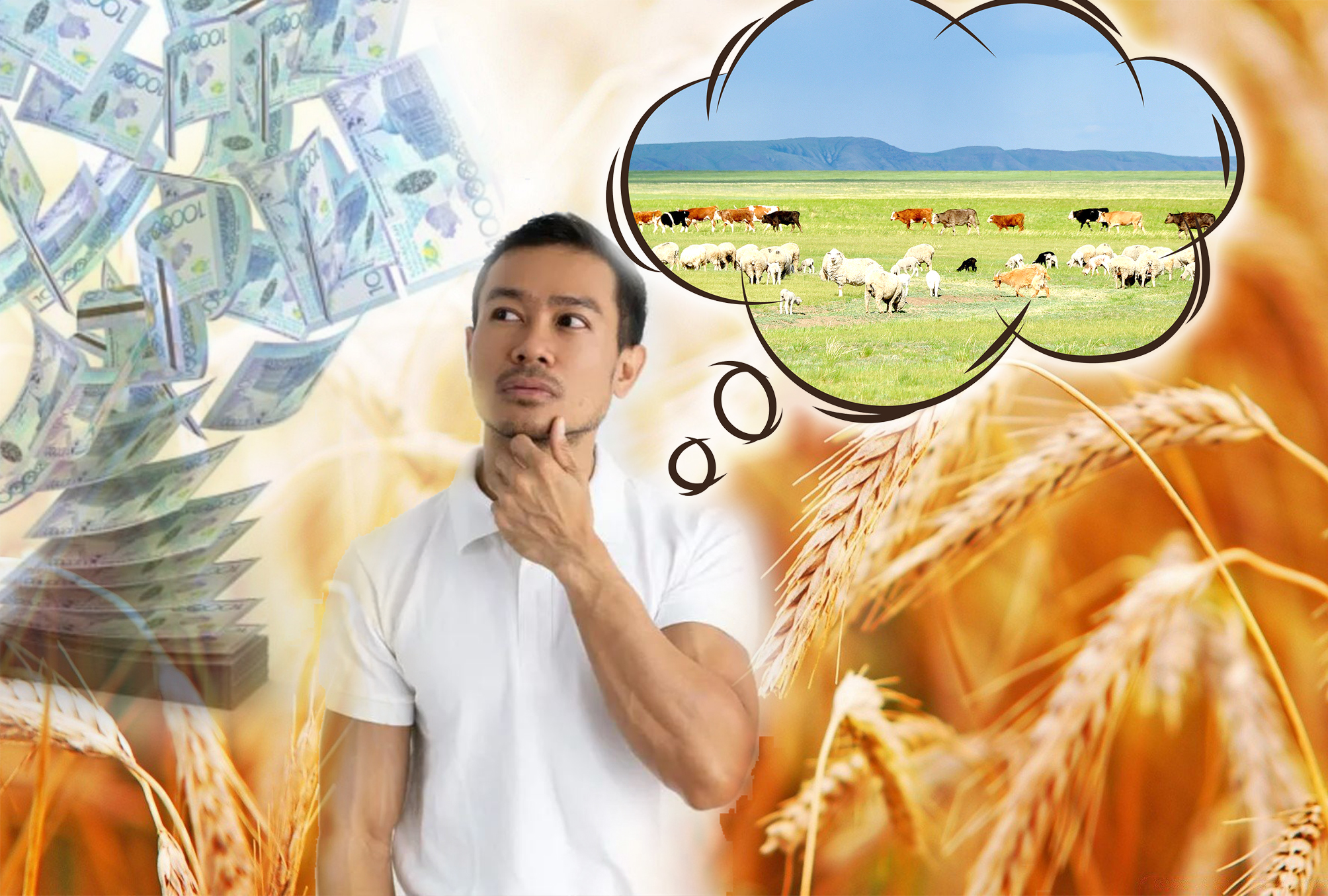 Қағаз жүзіндегі малға субсидия алған