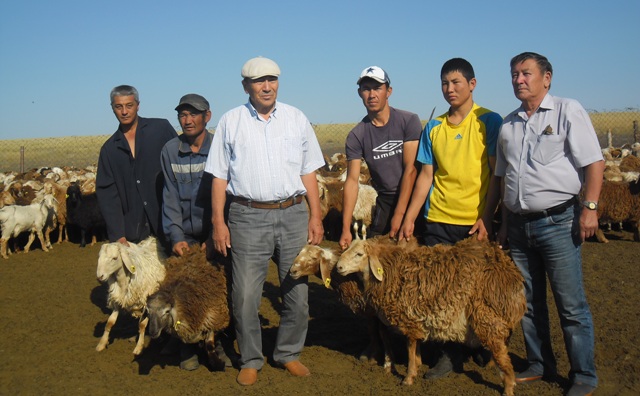 Ата кәсіпке адалдық азайды
