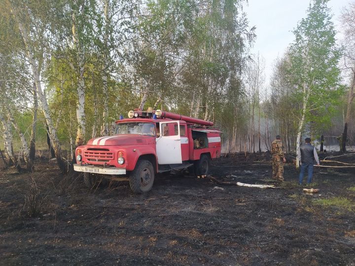 Қоршаған ортаға қауіп төндіреді