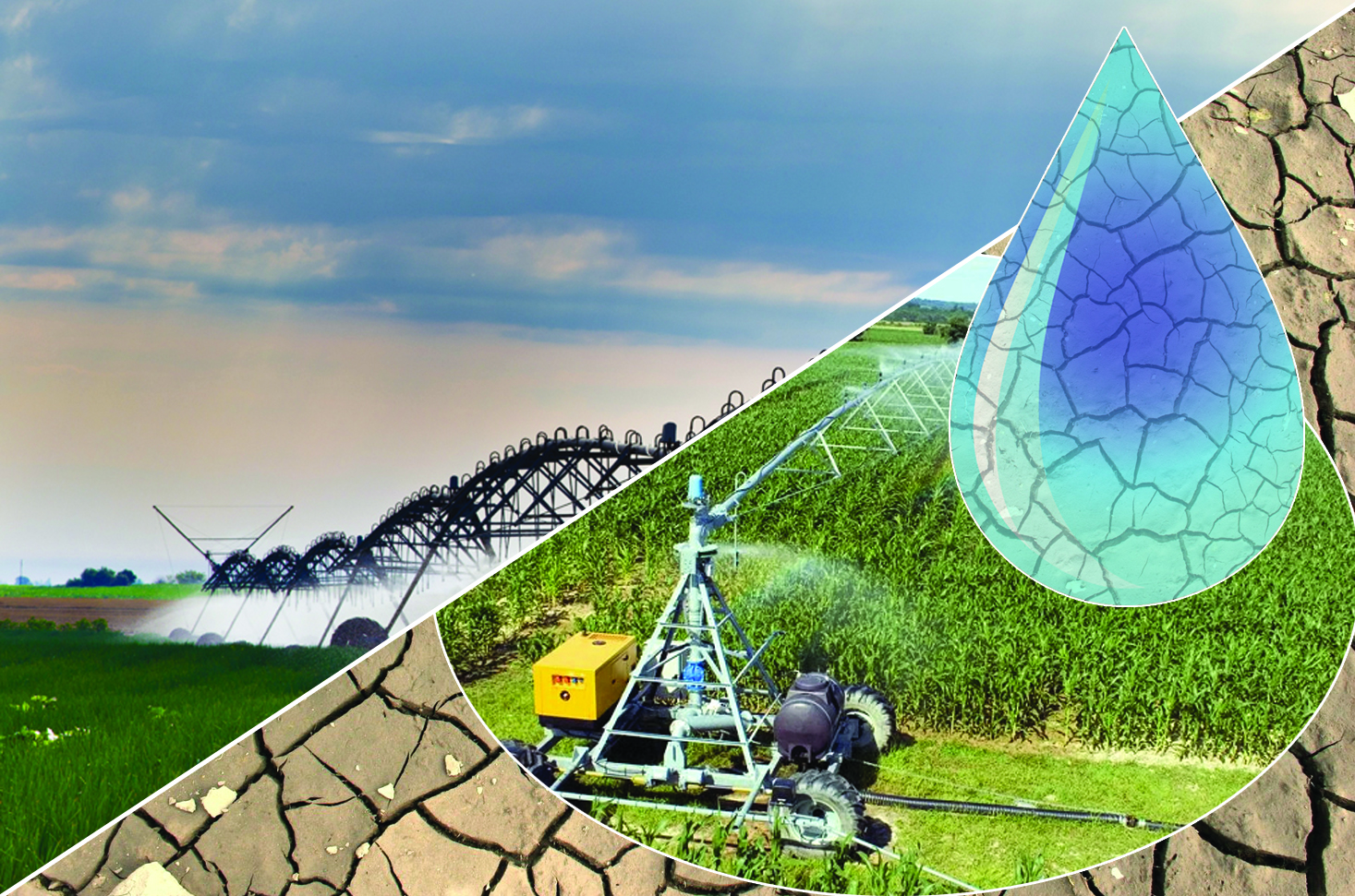 Шығынға батқан шаруалардың мәселесін кім шешеді?