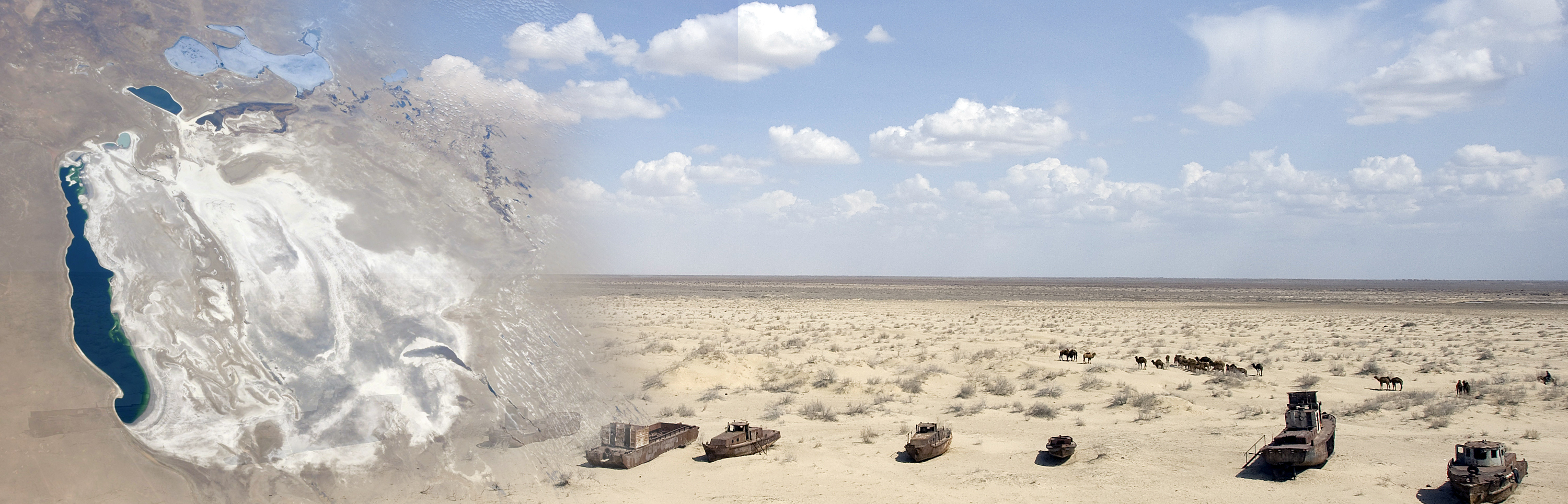 Сара Камерон: Арал дағдарысы тарихи мәселелерді талқылауға мүмкіндік береді