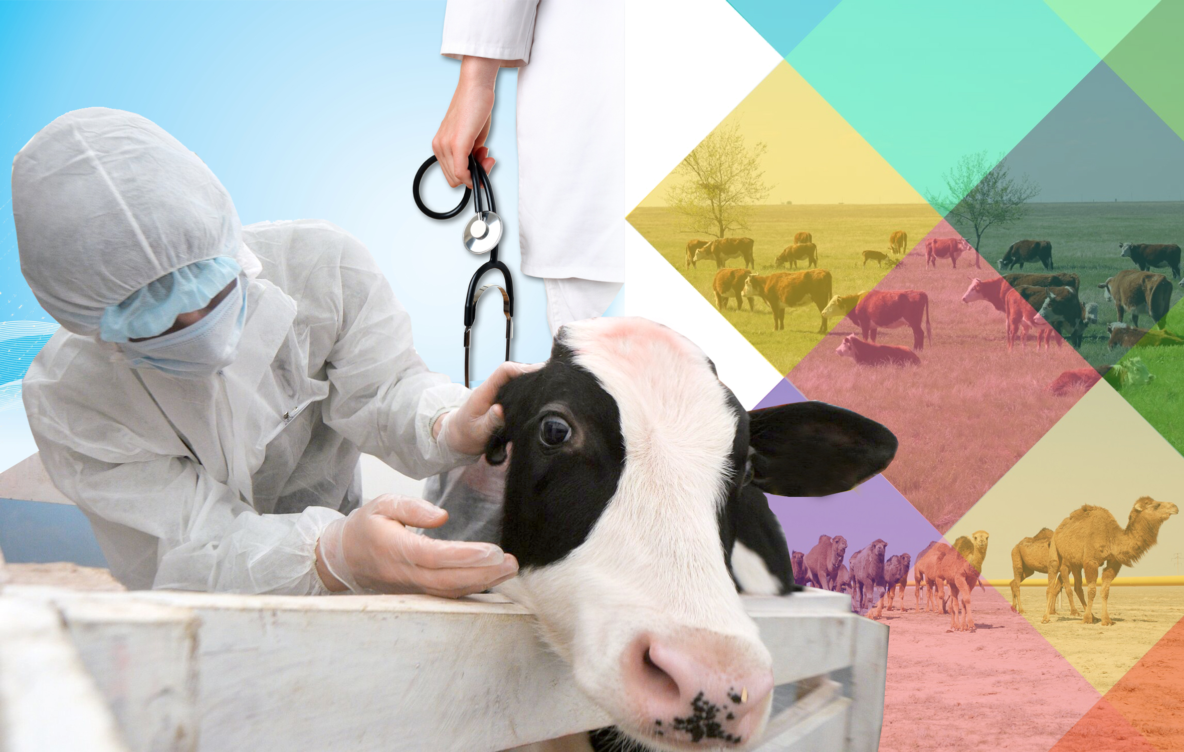 Мал көп, мал дәрігері аз