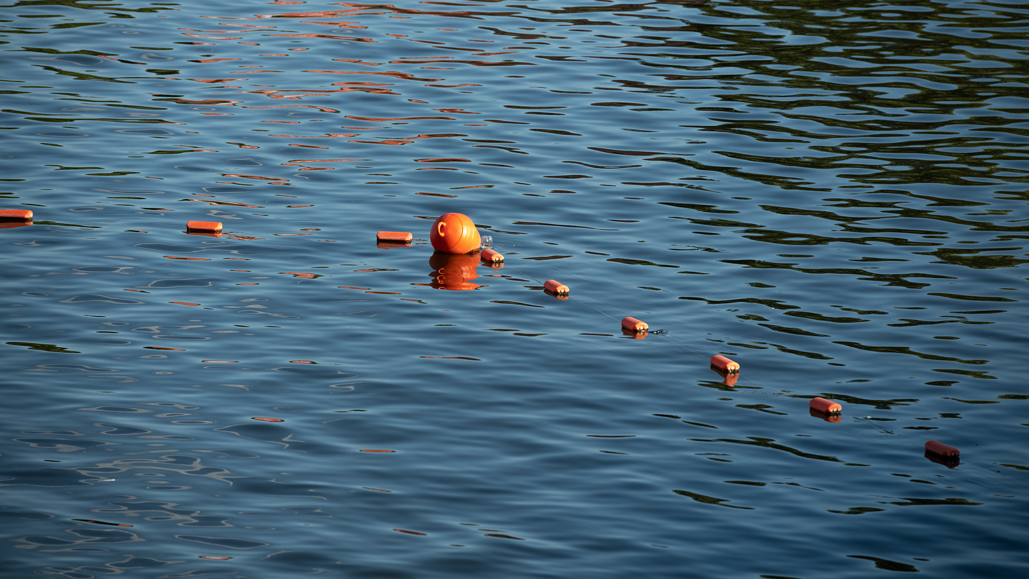 Суға кеткендер азаяр емес